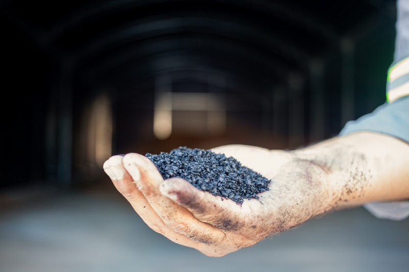 EISA e NetZero unem forças com a Nespresso no primeiro projeto de biochar em escala no Brasil - Fitec Tec News