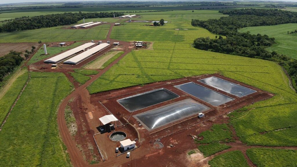 Seara incentiva produtores de suinocultura na produção de biogás - Fitec Tec News