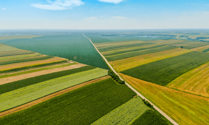 Brasil precisa construir alianças internacionais para criar marcos regulatórios globais que beneficiem a transição para economia verde - Fitec Tec News