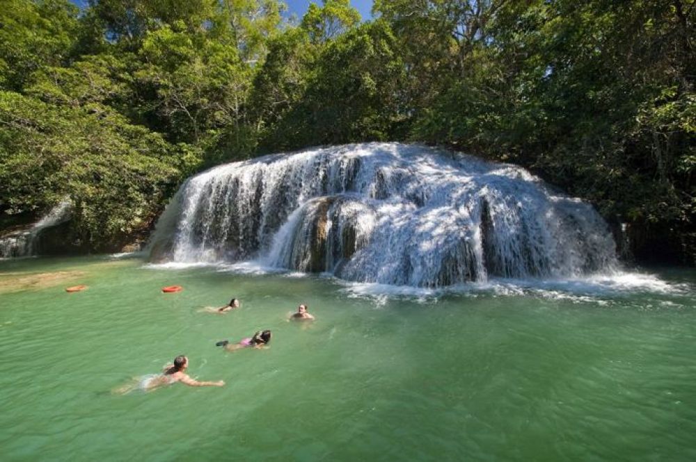 Ecoturismo já representa 60% do faturamento de empresas do segmento no Brasil - Fitec Tec News