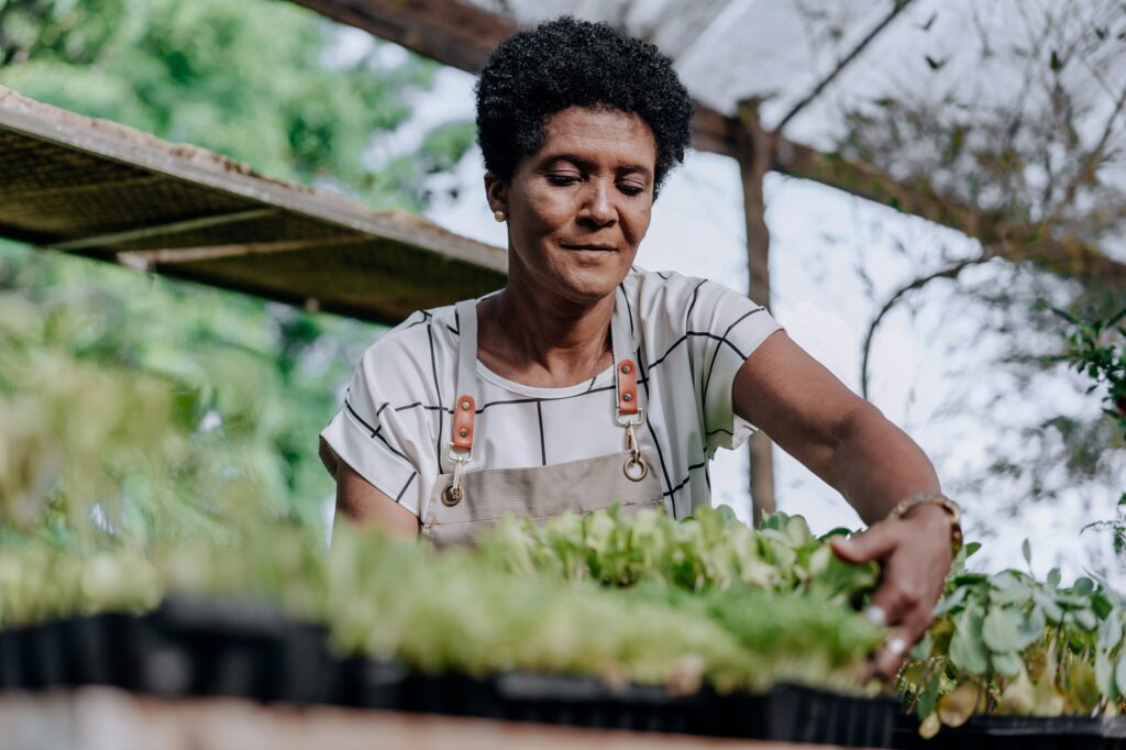 GettyImages apresenta pesquisa sobre impressões do aquecimento global - Fitec Tec News