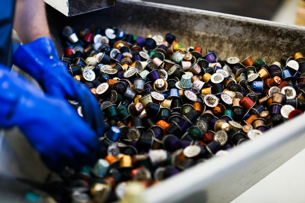 WTNB e Nespresso unem expertises para criar moda upcycling a partir de café reciclado - Fitec Tec News