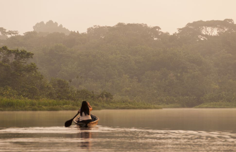 Dia Mundial do Meio Ambiente o que estamos fazendo a favor do planeta - Fitec Tec News