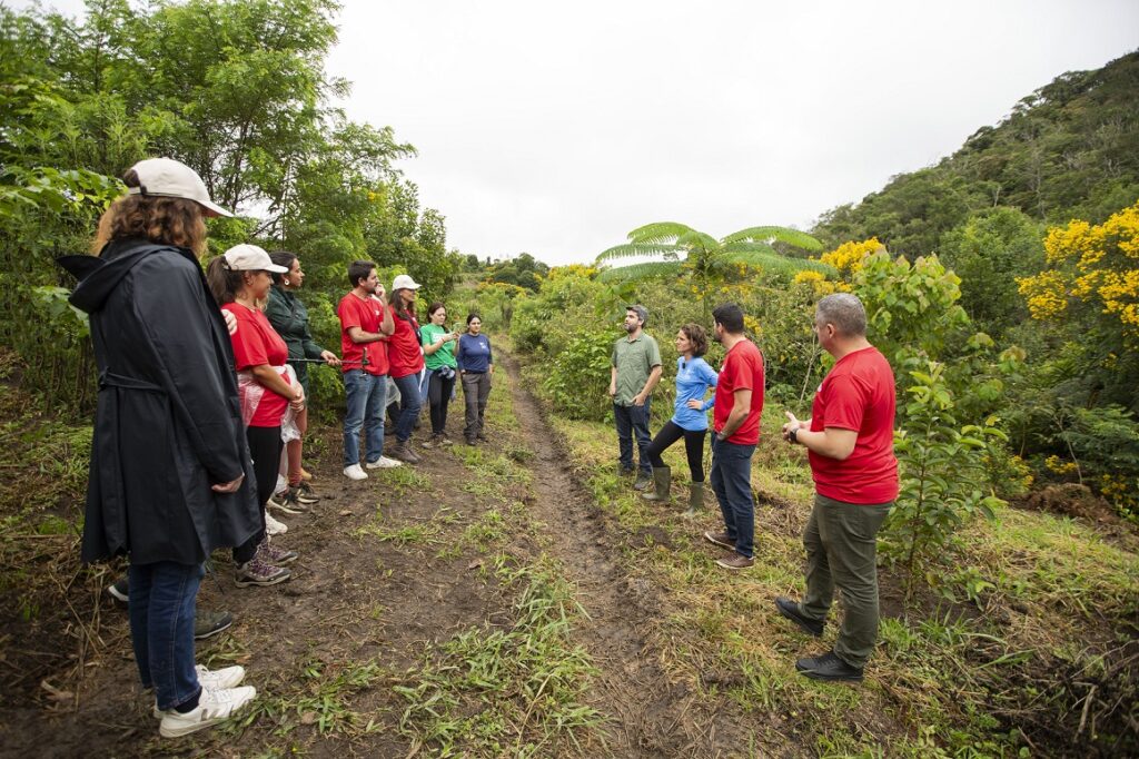 Edenred promove ações de reflorestamento em reserva da Mata Atlântica - Fitec Tec News