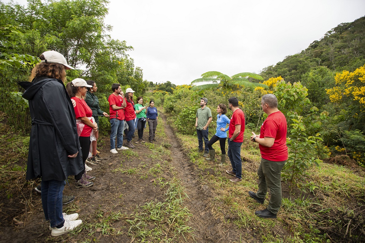 Edenred promove ações de reflorestamento em reserva da Mata Atlântica