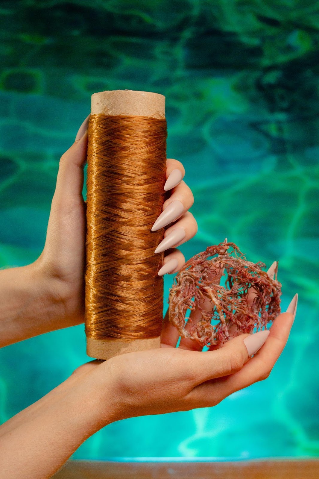 Embrapii apoia projetos inovadores e ágeis em prol do meio ambiente