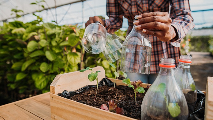 Gigante da tecnologia compra 40 mil créditos de carbono de práticas agrícolas - Fitec Tec News