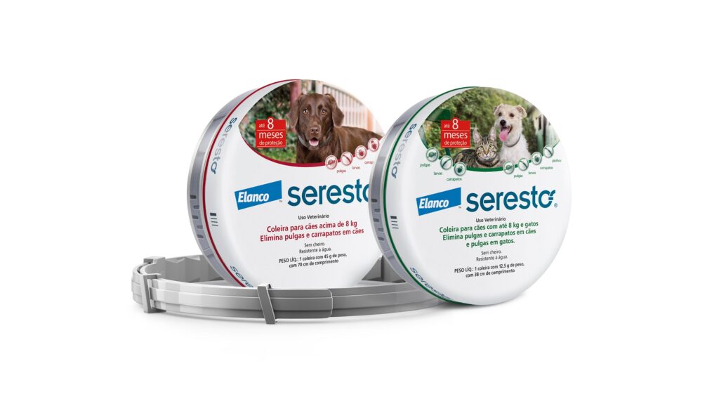Iniciativas incentivam descarte correto dos produtos de saúde para pets - Fitec Tec News