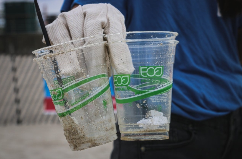 Rotulagem ambiental promove mais transparência em prol do consumo consciente - Fitec Tec News