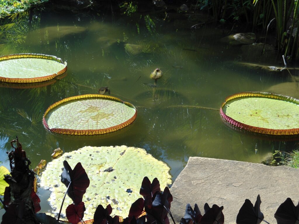 Eleições 2024 apresentam o desafio da segurança hídrica na agenda política brasileira - Fitec Tec News