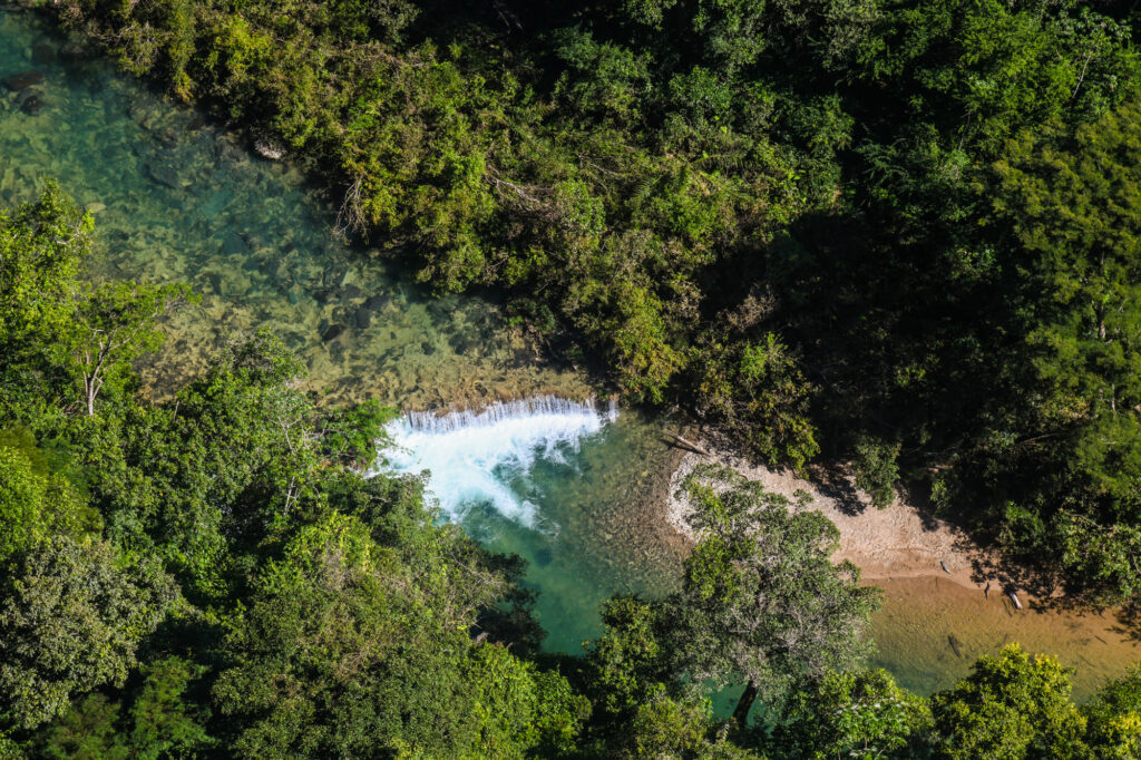 Projeto Água Vida coloca a arte da fotografia a serviço da recuperação e conservação ambiental - Fitec Tec News