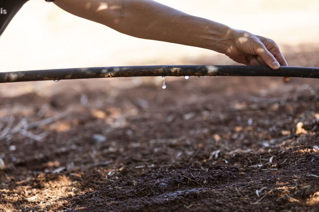 B3 e Rivulis Impulsionam Mercado de Carbono na agricultura com inovação e transparência - Fitec Tec News