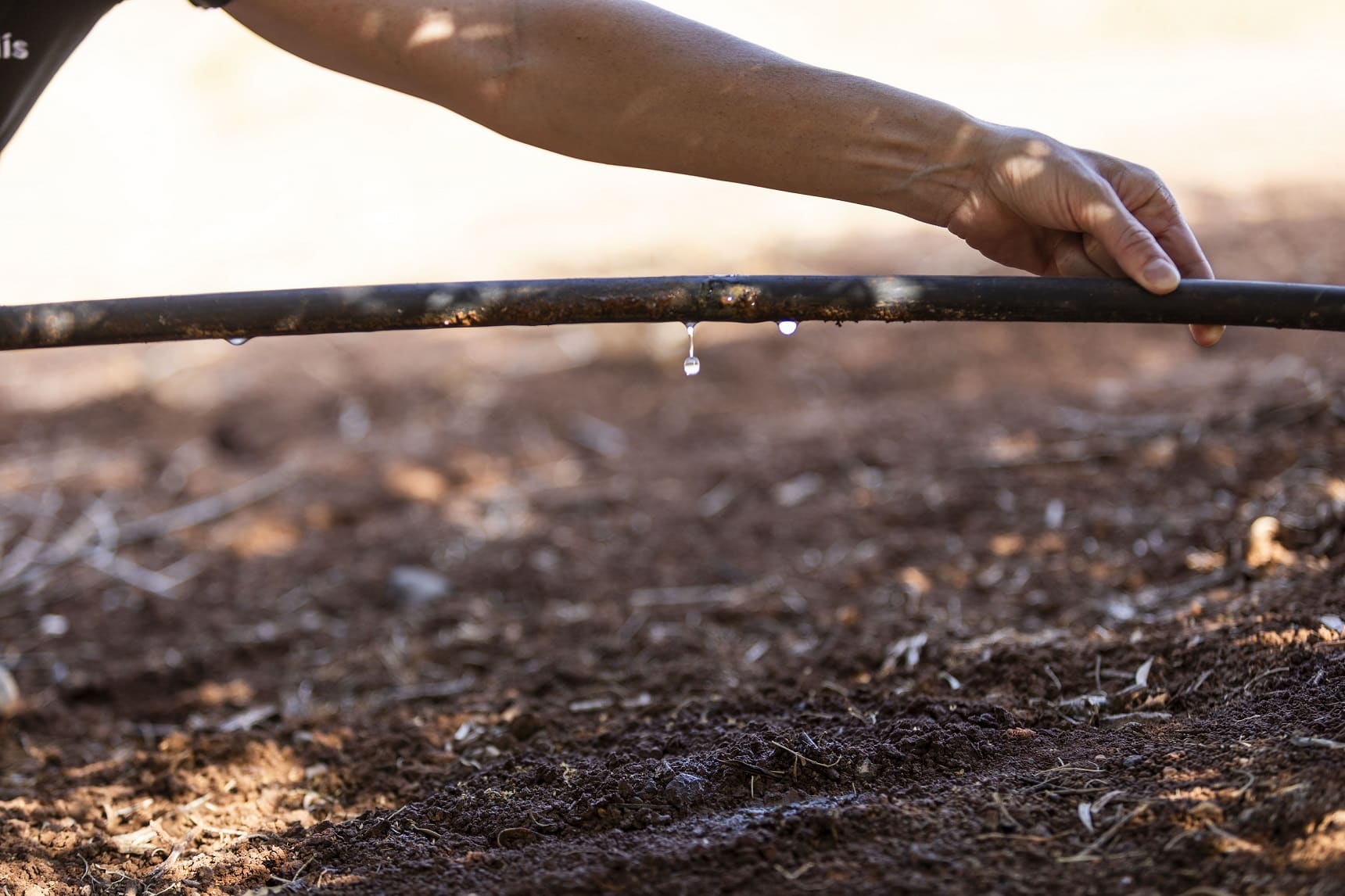 B3 e Rivulis Impulsionam Mercado de Carbono na agricultura com inovação e transparência