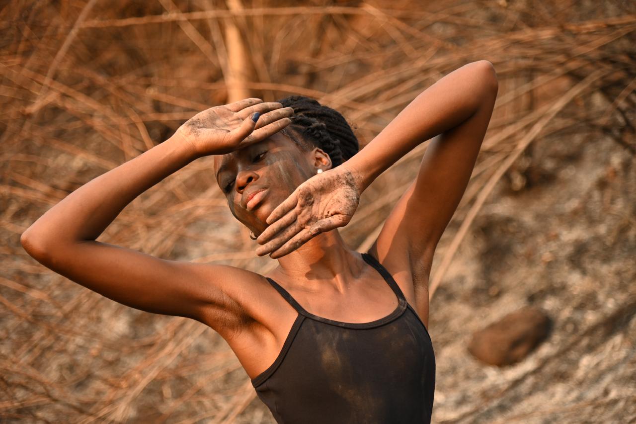 Projeto de fotógrafo visita região paulista assolada por incêndio florestal