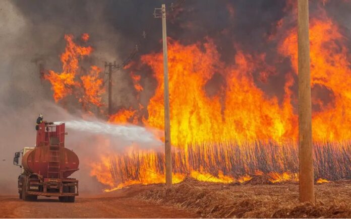 Queimadas desafios, impactos e soluções emergenciais - Fitec Tec News