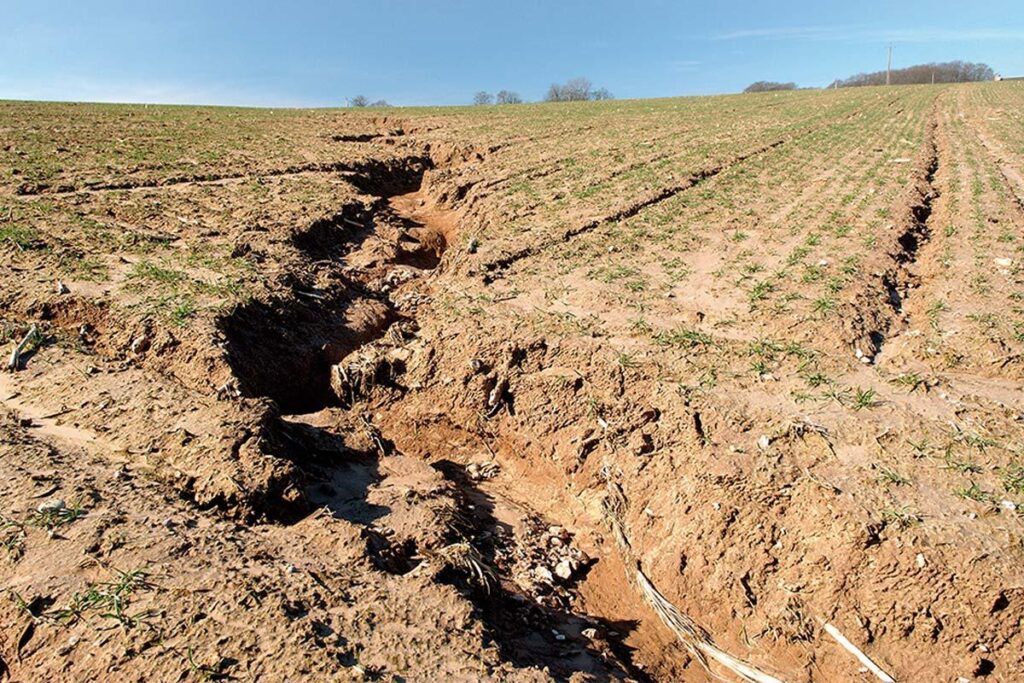 Erosão do solo é desafio para estar em consonância com a sustentabilidade - Fitec Tec News