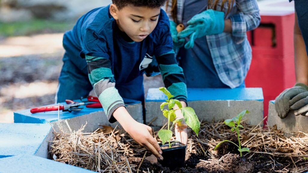 Escolas sustentáveis destacam projetos de liderança feminina e educação ambiental - Fitec Tec News