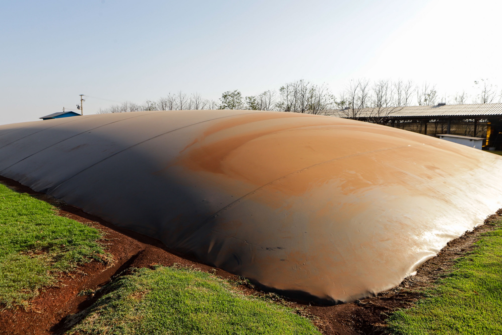 Mercado de biogás expande e gera renda, mas ainda tem desafios