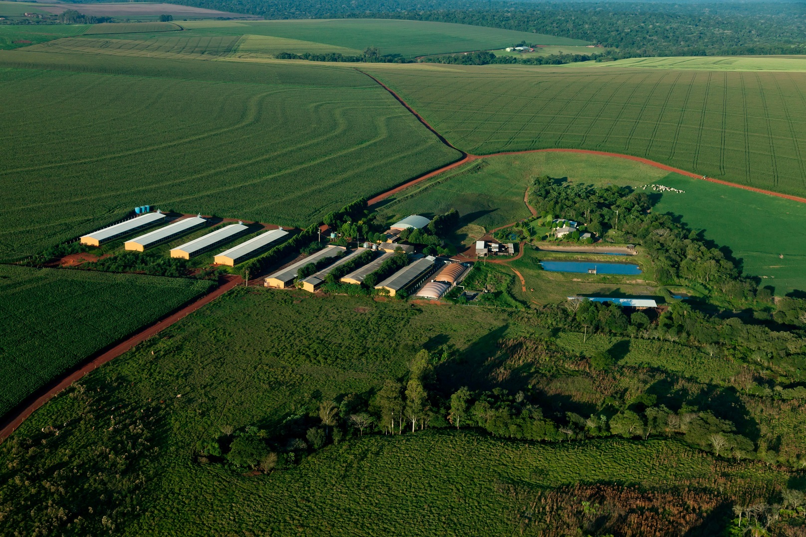 Startups contam com programa de inovação pela Itaipu Binacional e o Itaipu Parquetec - Fitec Tec News