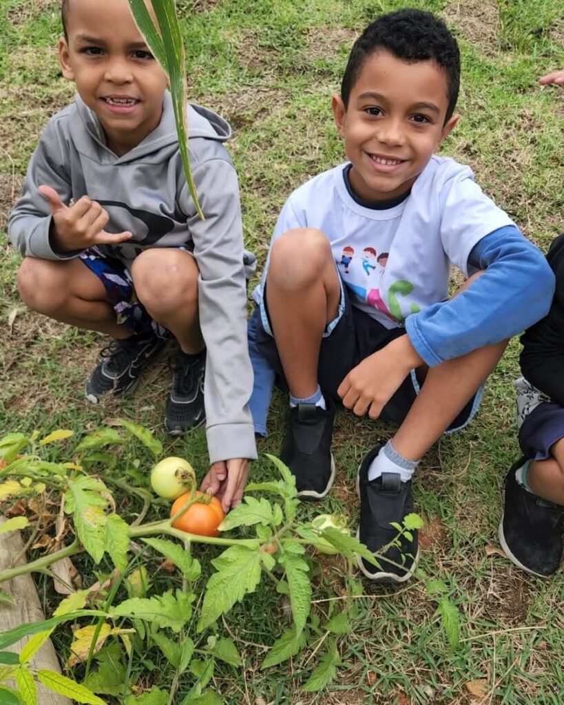 Integrar a Educação Ambiental no currículo escolar cultiva a conexão com a natureza desde a primeira infância - Fitec Tec News