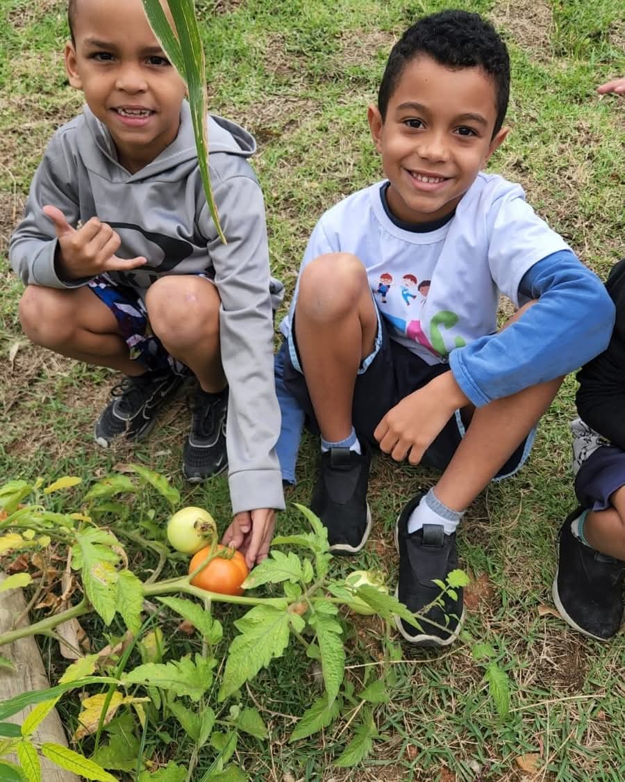 Integrar a Educação Ambiental no currículo escolar cultiva a conexão com a natureza desde a primeira infância