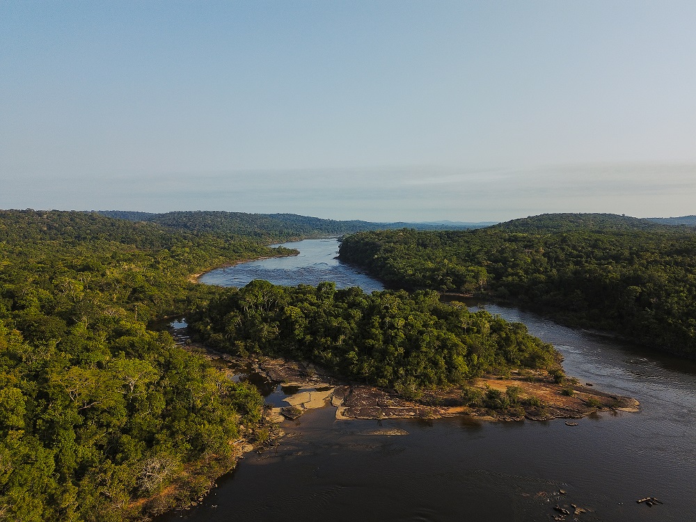 Estudos apontam crescimento de negociações e inovações no mercado de carbono - Fitec Tec News