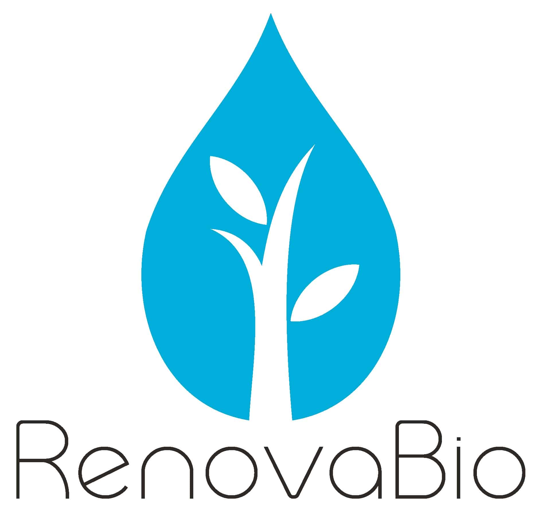 RenovaBio impulsiona desenvolvimento sustentável nos transportes - Fitec Tec News