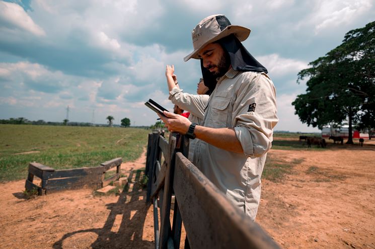 Cinco passos essenciais fazer um inventário de emissões de carbono preciso e eficiente - Fitec Tec News