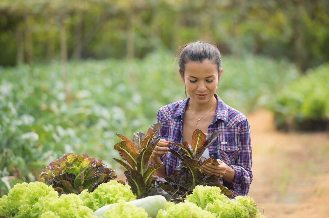 Da valorização do produtor local à energia solar, setor de alimentos inova para beneficiar o meio ambiente - Fitec Tec News