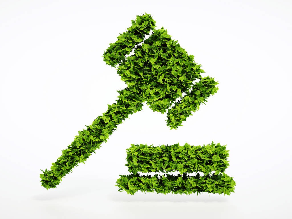 Especialistas opinam sobre a importância das legislações ambientais no país - Fitec Tec News