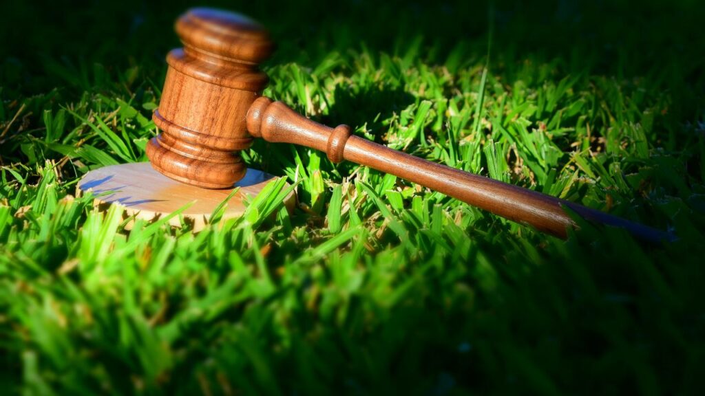 Crimes ambientais e o risco jurídico para empresas o que diz a lei e como evitar autuações - Fitec Tec News