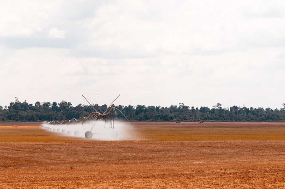 Nova Lei do Mercado de Carbono abre portas para produtores rurais - Fitec Tec News