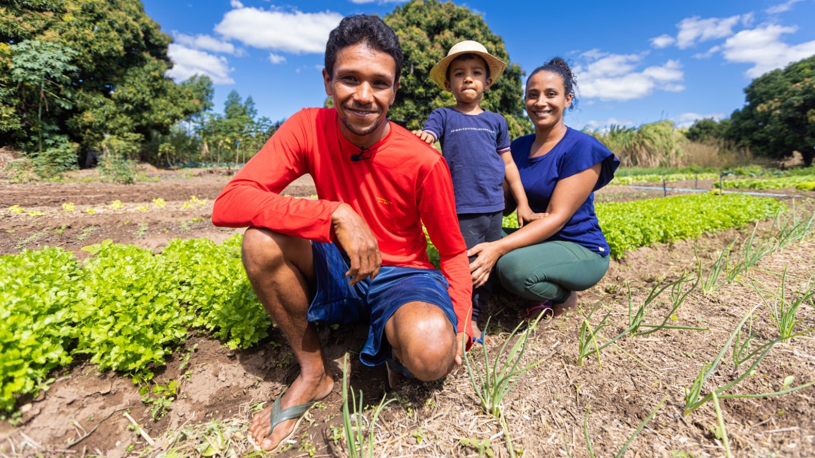 Iniciativa Brasil-FAO fomentam futuro alimentar sustentável na América Latina - Fitec Tec News