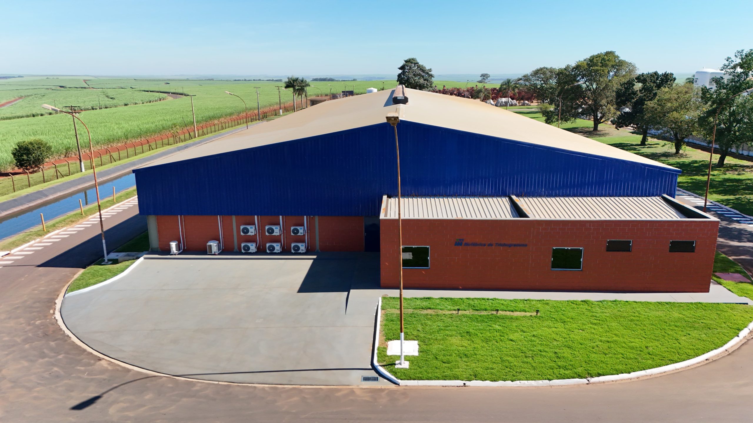 Setor sucroenergético alinha suas operações com compromisso ambiental