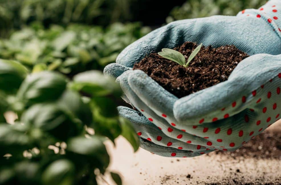Financiamento verde no campo sustentabilidade e recuperação de crédito revolucionam futuro do Agronegócio - Fitec Tec News