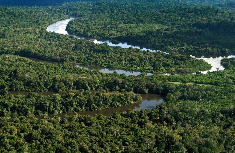 Brasil no centro do ESG país pode se destacar no futuro da sustentabilidade global - Fitec Tec News