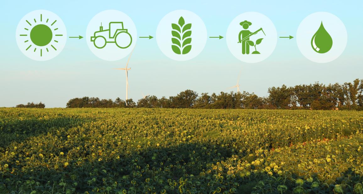 Com potencial de alcançar US$ 12 bilhões até 2030, mercado de bioenergia depende da tecnologia para crescer de forma segura