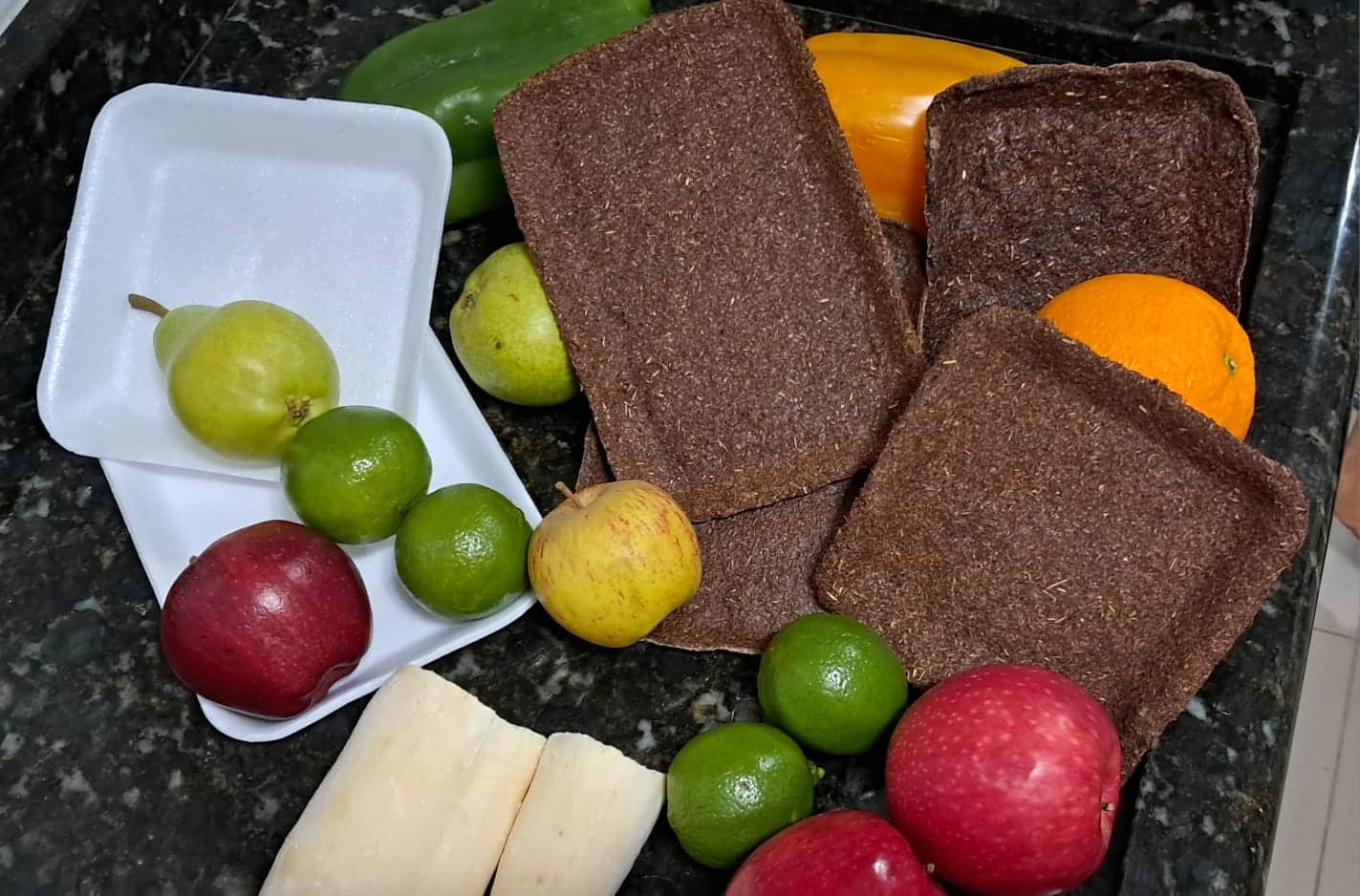 Escolas usam do conhecimento e criatividade para difundir a sustentabilidade - Fitec Tec News