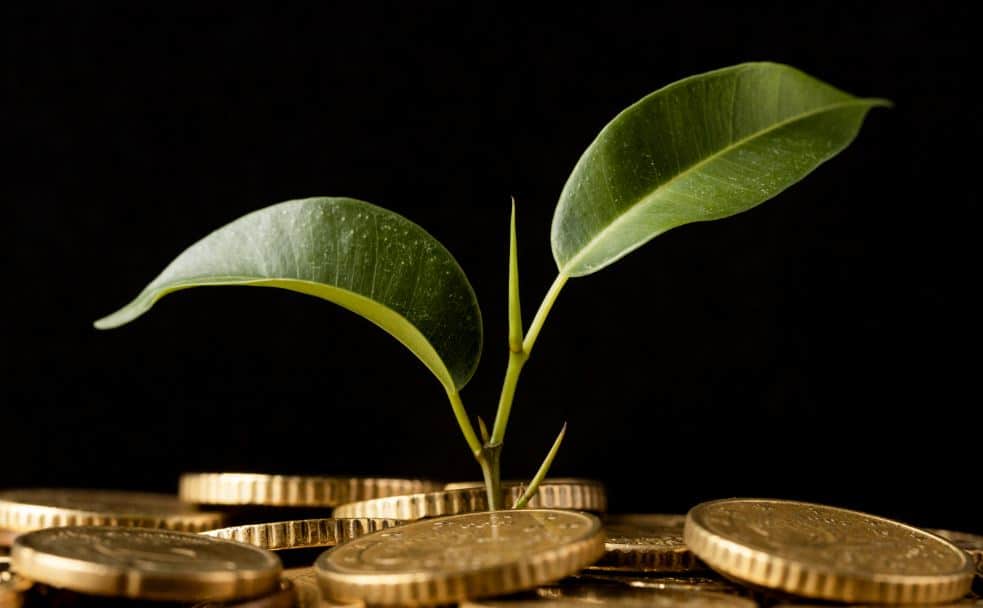 Bolsa de ação climática anuncia benefícios inéditos para empresas na COP30 - Fitec Tec News