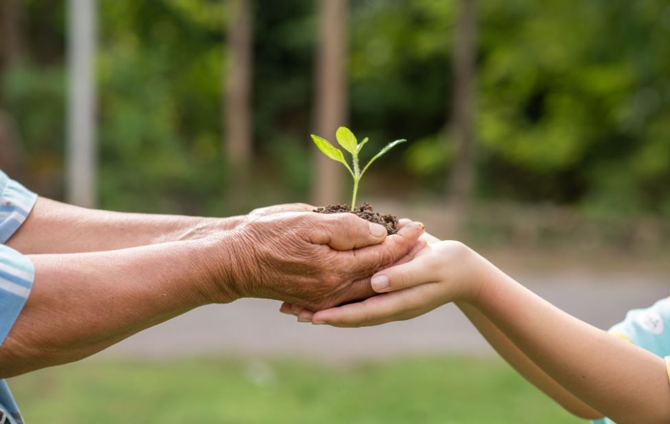 Filantropia baseada em confiança norteia iniciativas socioambientais