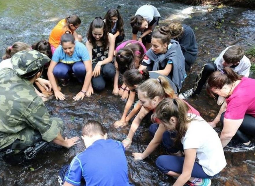 Mais matas e menos poluição mostram importância de restaurar rios e matas ciliares - Fitec Tec News