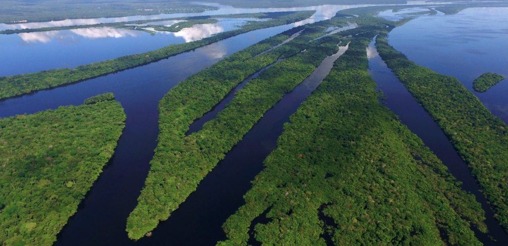 Pesquisas sobre rios voadores revelam a importância da preservação da floresta - Fitec Tec News