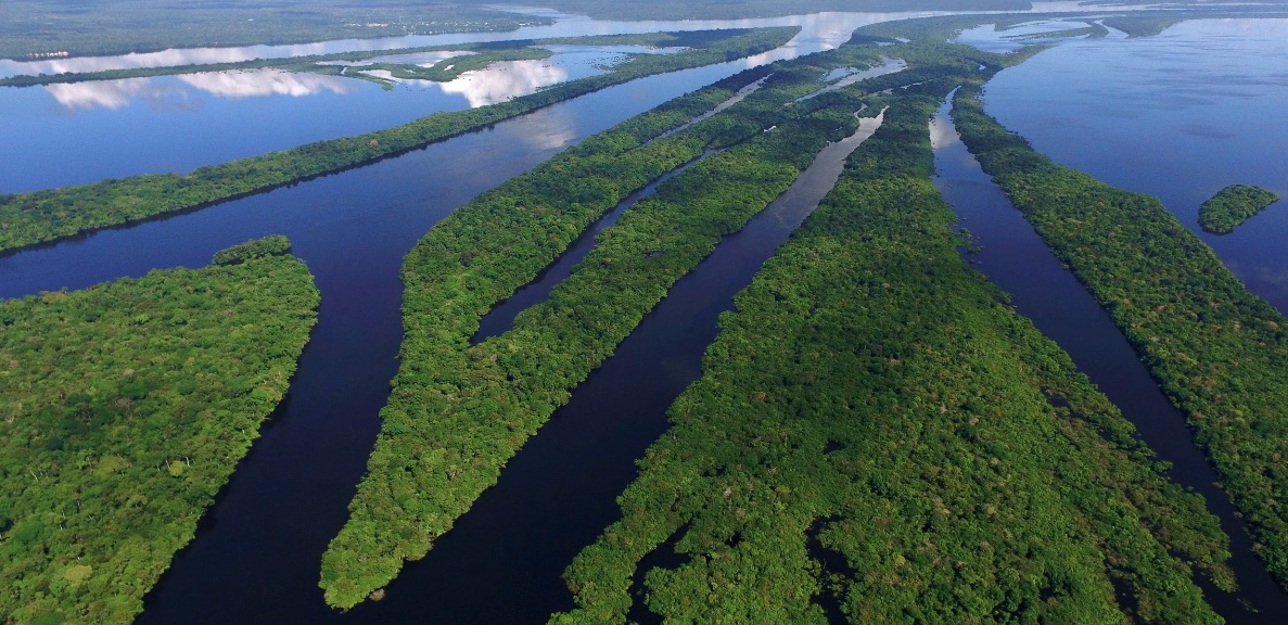 Pesquisas sobre rios voadores revelam a importância da preservação da floresta - Fitec Tec News