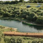 Áreas verdes são apostas para valorização de ativos e negócios mais sustentáveis - Fitec Tec News