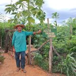 Nordeste sustentável financiamentos beneficiam população e biomas locais - Fitec Tec News