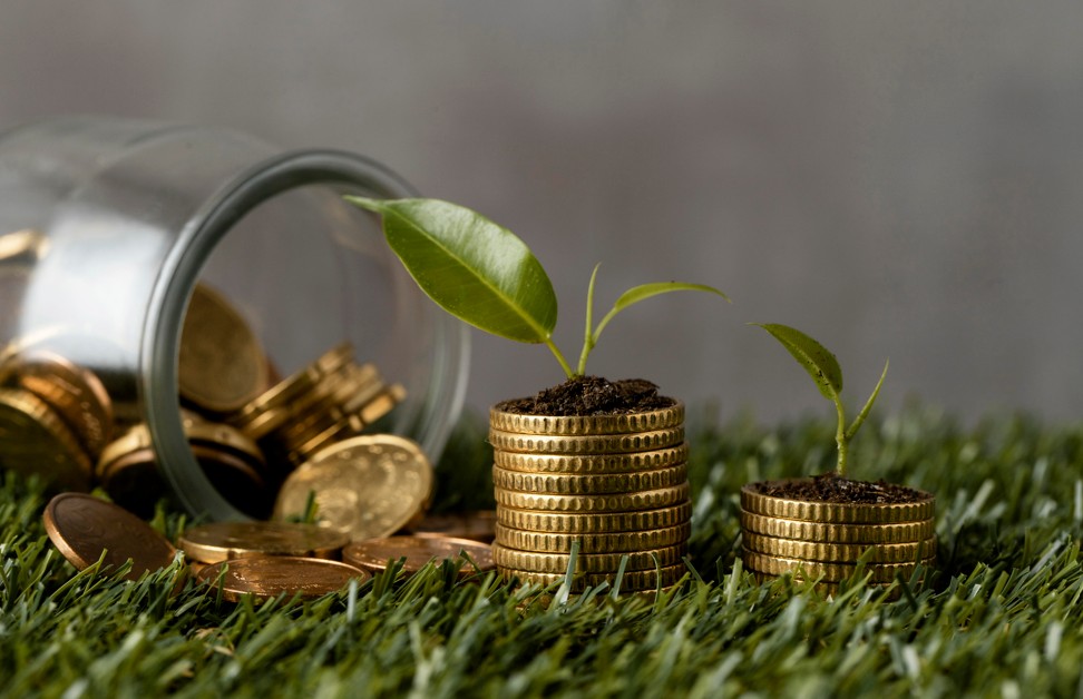 Dinheiro verde e economia real como o capital sustentável está redesenhando o investimento no Brasil - Fitec Tec News