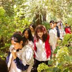 Programa pedagógico Play Recycling alia ESG e IA contra a crise climática - Fitec Tec News