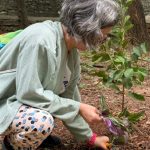 Pequenos negócios ganham destaque por impulsionarem práticas ESG - Fitec Tec News