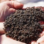 Tecnologias de filtragem unem fornecimento de água tratada com sustentabilidade - Fitec Tec News