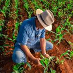 Agro brasileiro alia produção recorde a práticas consolidadas de sustentabilidade - Fitec Tec News